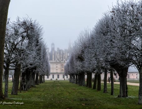 Chambord sous le givre