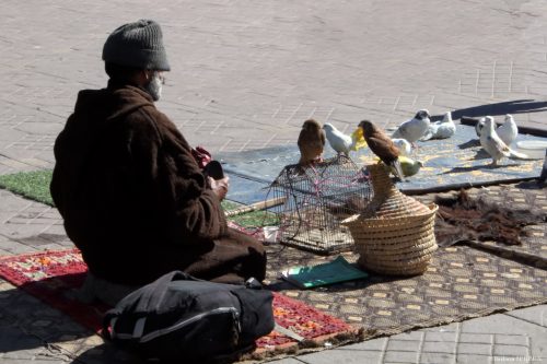 Homme aux oiseaux