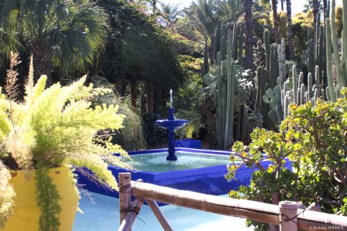 Majorelle, fontaine