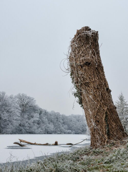 BardinaMatteo.FroidPolaire (4)_v1