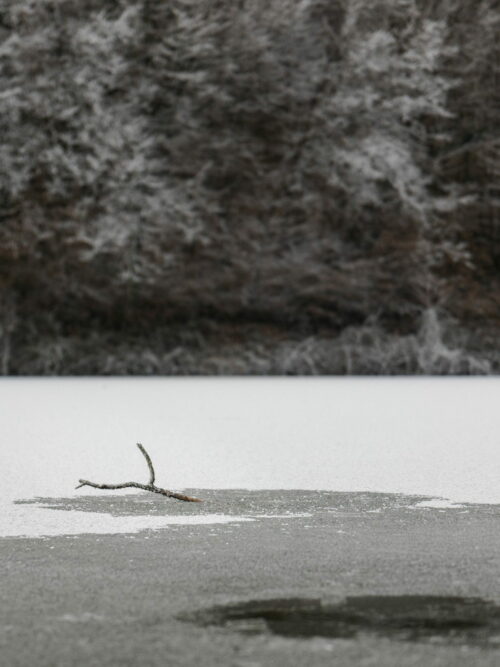 BardinaMatteo.FroidPolaire (5)_v1