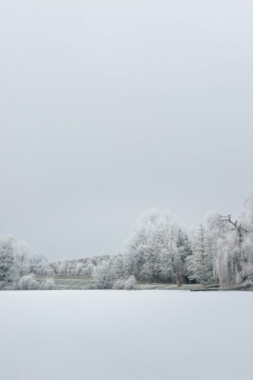 BardinaMatteo.FroidPolaire (6)_v1