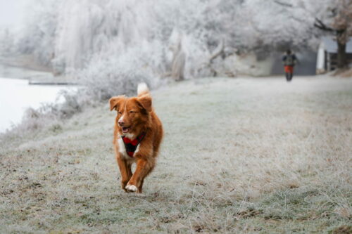 BardinaMatteo.FroidPolaire (7)_v1