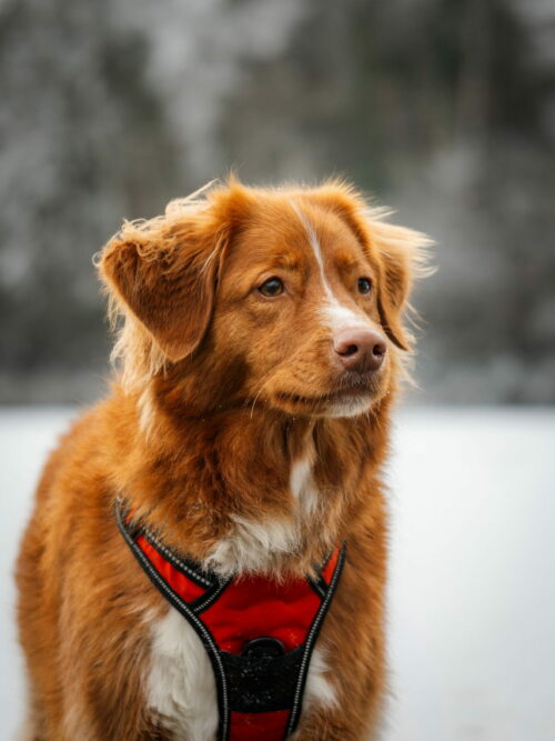 BardinaMatteo.FroidPolaire (9)_v1