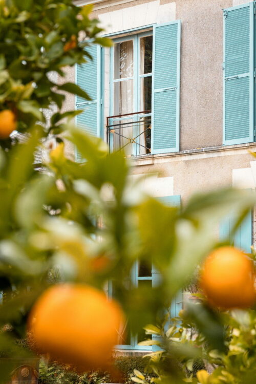 BardinaMatteo.OnzainLesDouves (3)_v1