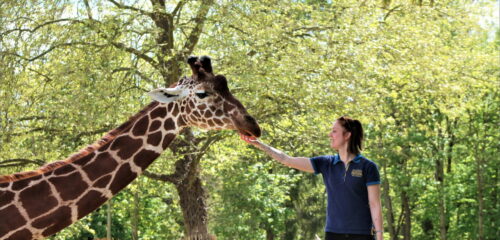 Screenshot_20260201_204425_Gallery_v1