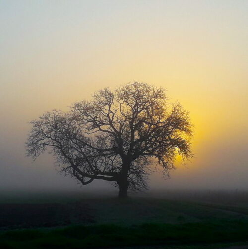 Screenshot_20260201_204720_Gallery