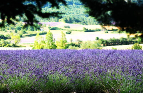 Screenshot_20260201_205244_Gallery