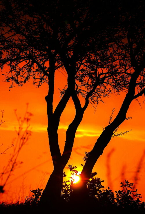 Screenshot_20260205_165902_Gallery